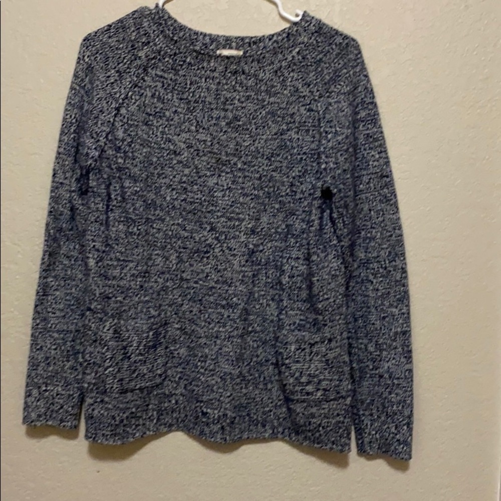 GAP blue and white sweater
